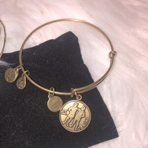 💰Bundle 3/$30 Alex and Ani bracelet ENERGY Gemini Gold tone Charms  Adjustable